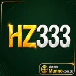 HZ333 game logo
