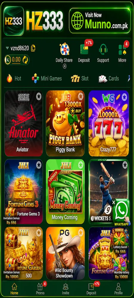 HZ333 game