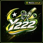 Y222 game logo